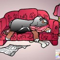 hund-berner-sennen-auf-sofa-schlafend--illustration-comic-individuell-cartoons-zeichnungen-mausebaeren